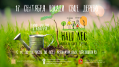 Наш лес